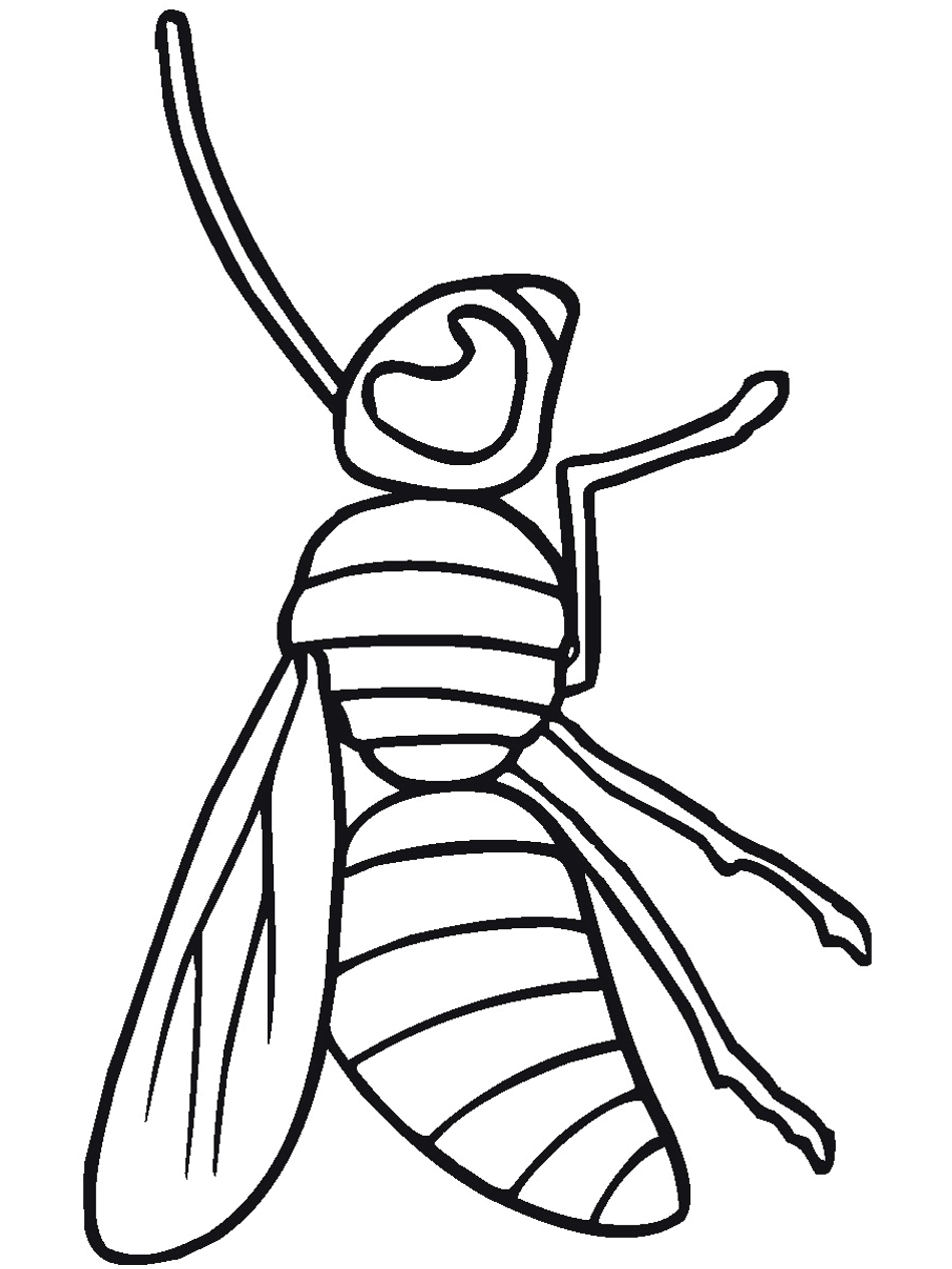 Free Insect Printables