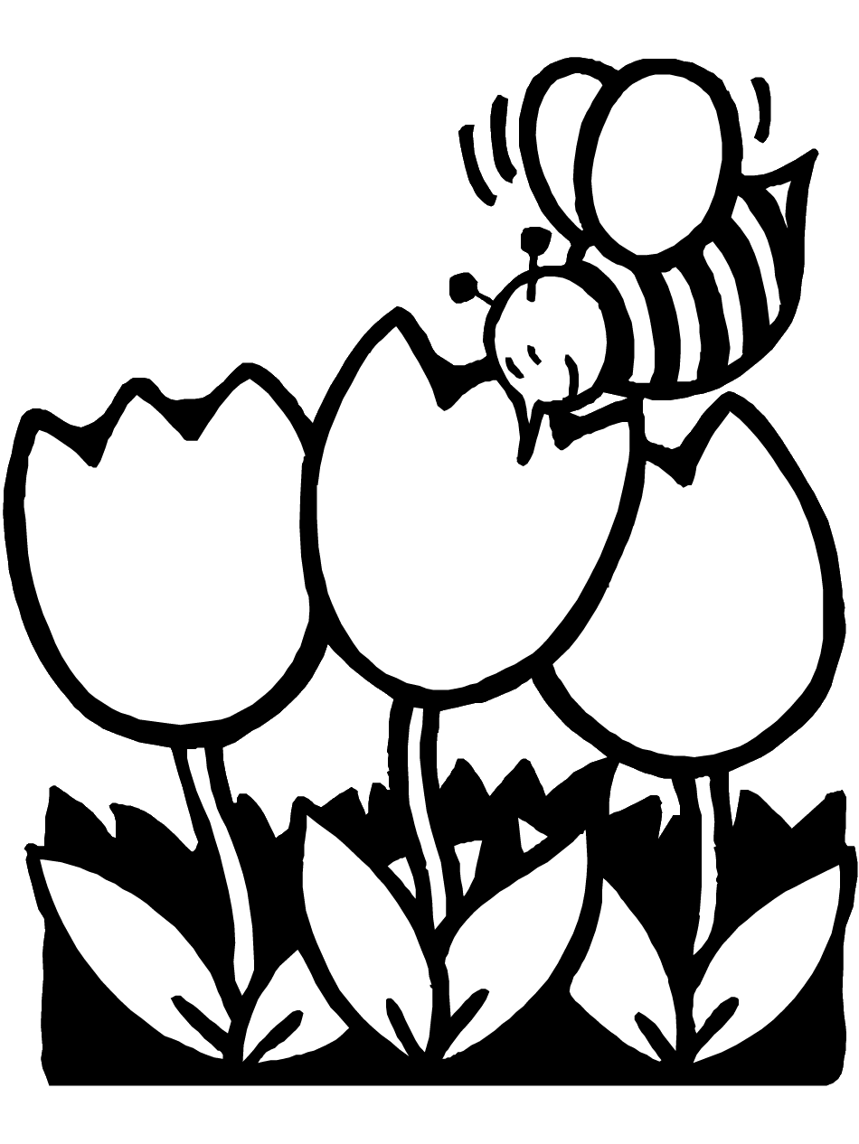Get Printable Tulip Coloring Pages