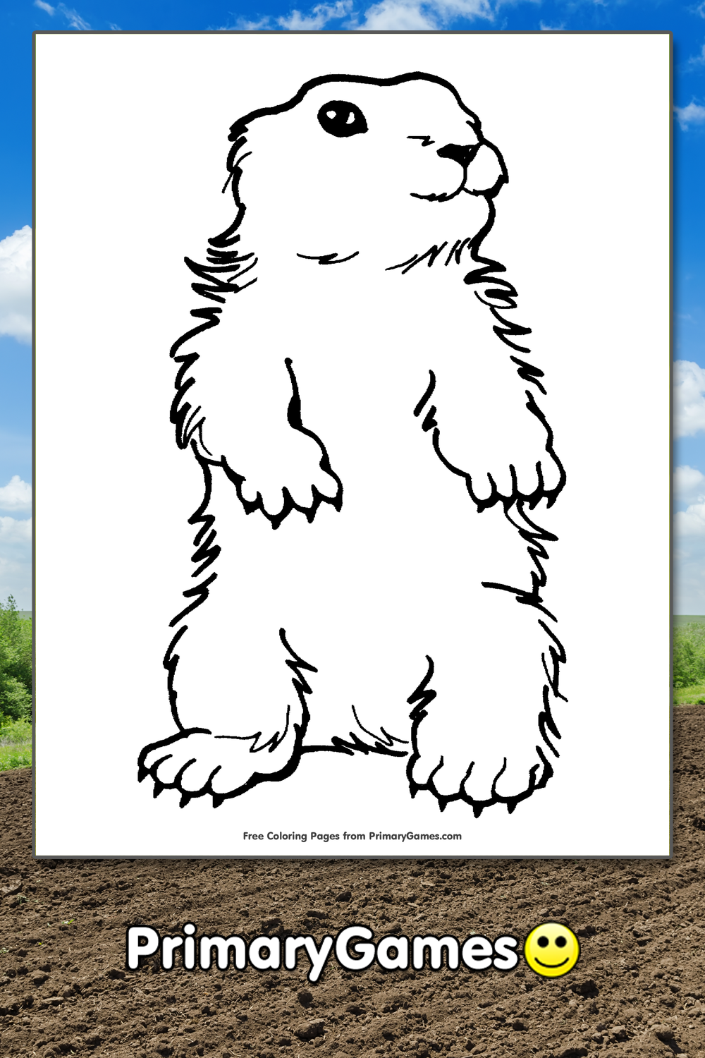 The power of the leopard Scan2Go coloring page printable game