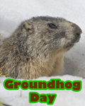Groundhog Day