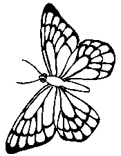 Printable Butterfly Adult Coloring Book PDF Stress Relief