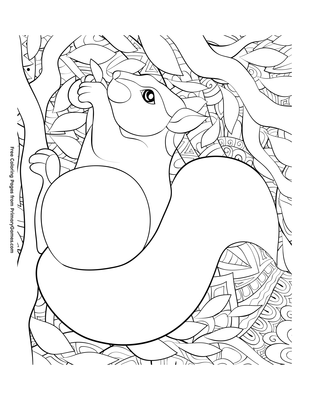 squirrel in tree coloring pages
