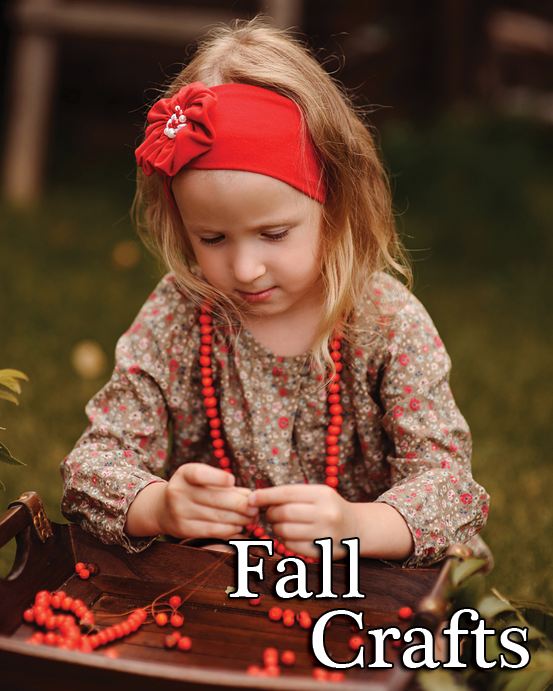 fall-crafts-free-online-games-at-primarygames