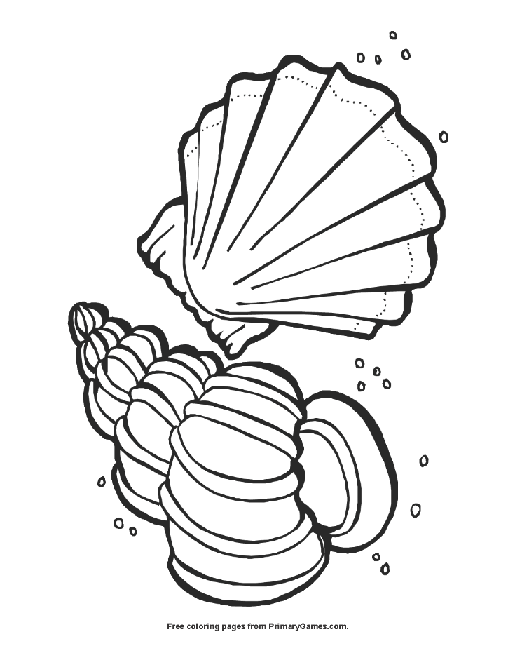 shell coloring pages